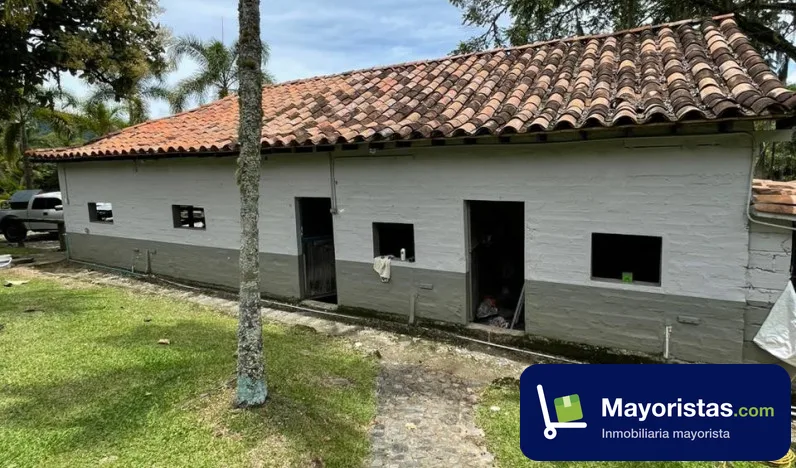 Finca ganadera de 10,5 ha en Venecia, Antioquia — foto 9 de 10