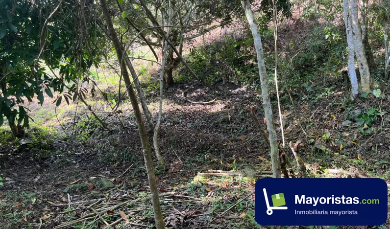 Finca ganadera de 8 ha en Nimaima, Cundinamarca