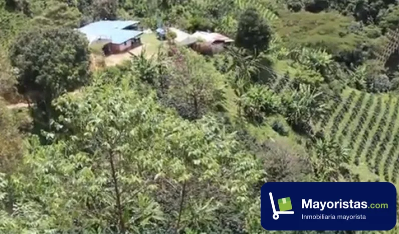 Finca cafetera de 10 ha en Planadas, Tolima