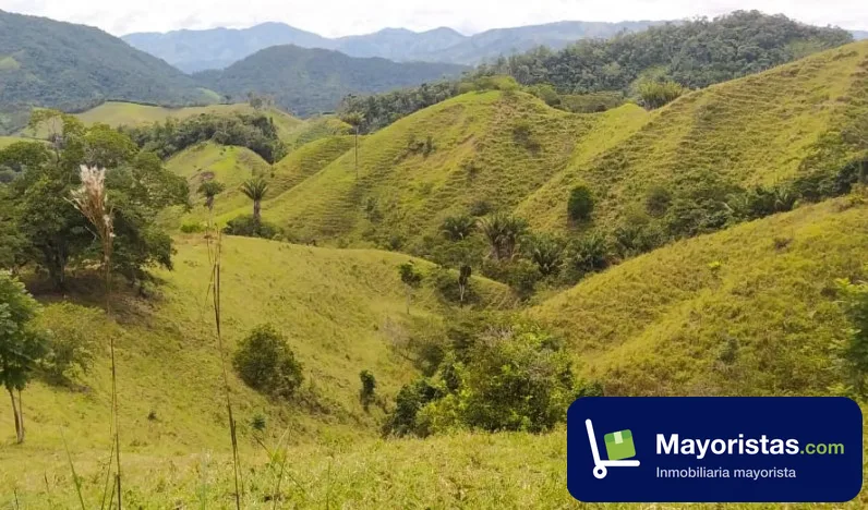 Finca ganadera de 240 ha en Yolombó, Antioquia