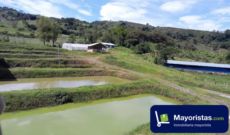 Finca agrícola de 2,2 ha en Moniquirá, Boyacá