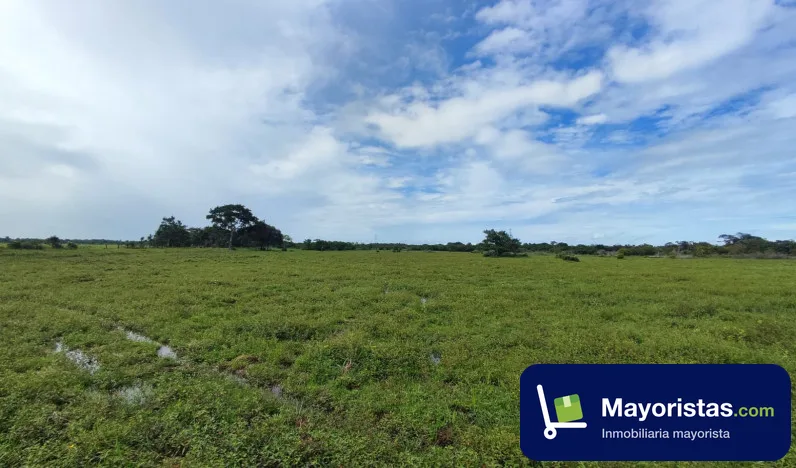 Finca ganadera de 78 ha en Monterrey, Casanare