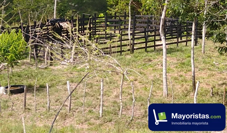 Finca ganadera de 19 ha en Montería, Córdoba — foto 10 de 10