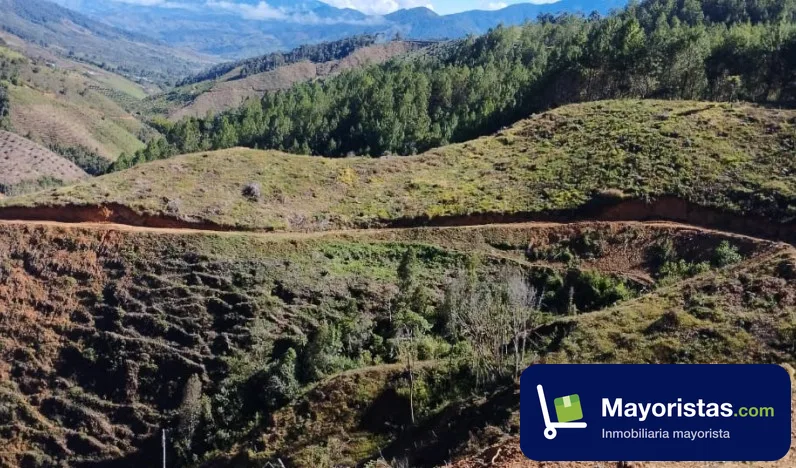 Finca ganadera de 22 ha en Urrao, Antioquia