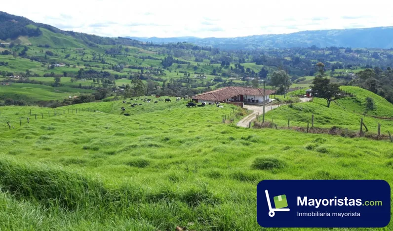 Finca ganadera de 12,8 ha en Bello, Antioquia