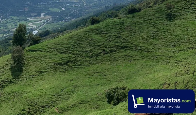 Finca ganadera de 49 ha en Barbosa, Antioquia — foto 9 de 10
