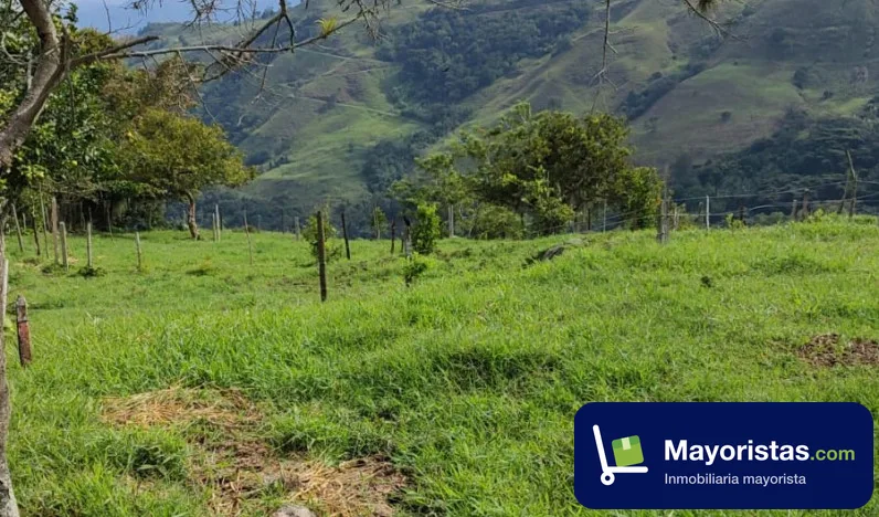 Finca ganadera de 3,9 ha en Titiribí, Antioquia