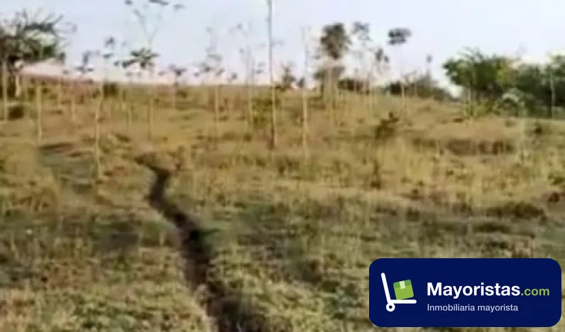 Finca ganadera de 15 ha en Ovejas, Sucre