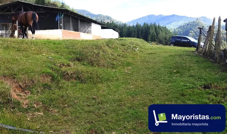 Finca agrícola de 26,7 ha en Caldas, Antioquia — foto 9 de 10