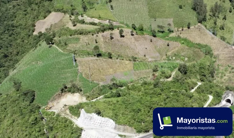 Finca ganadera de 112 ha en Cajamarca, Tolima