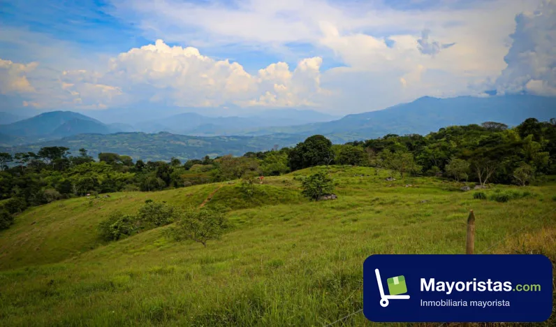 Finca ganadera de 18,6 ha en Támesis, Antioquia