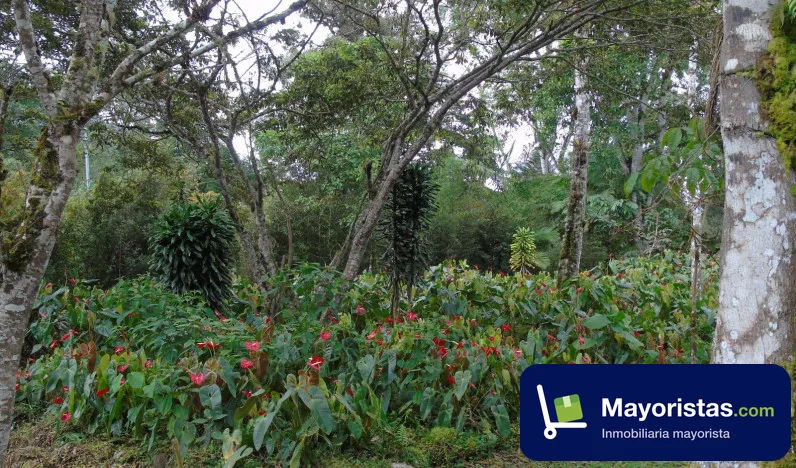 Finca ganadera de 7 ha en La Cumbre, Valle del Cauca — foto 9 de 9