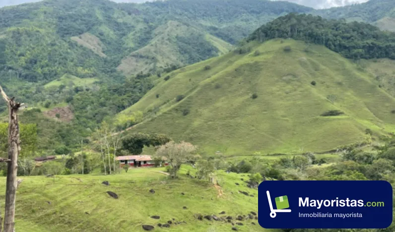 Finca ganadera de 170 ha en Yolombó, Antioquia — foto 10 de 10