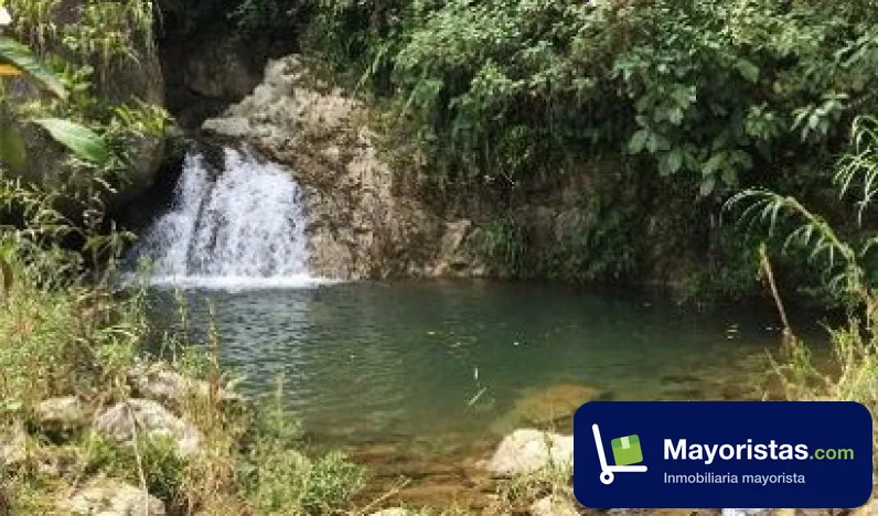 Finca ganadera de 170 ha en Yolombó, Antioquia — foto 9 de 10