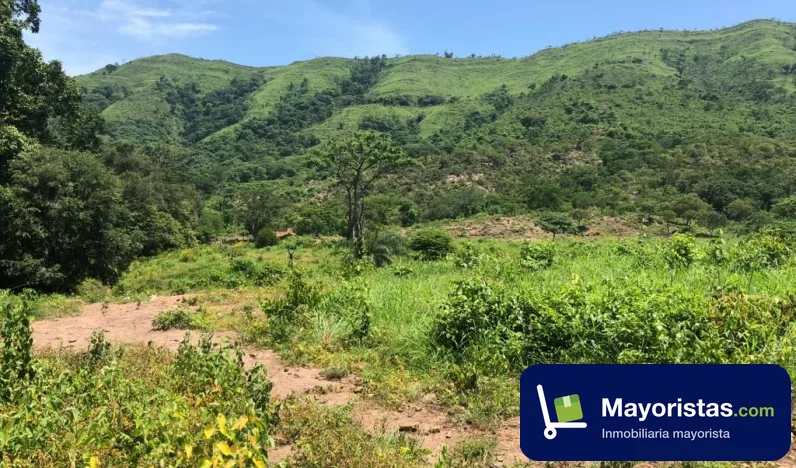 Finca agrícola de 86 ha en Agustín Codazzi, Cesar