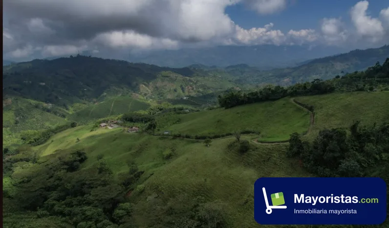 Finca ganadera de 33 ha en Marsella, Risaralda — foto 10 de 10