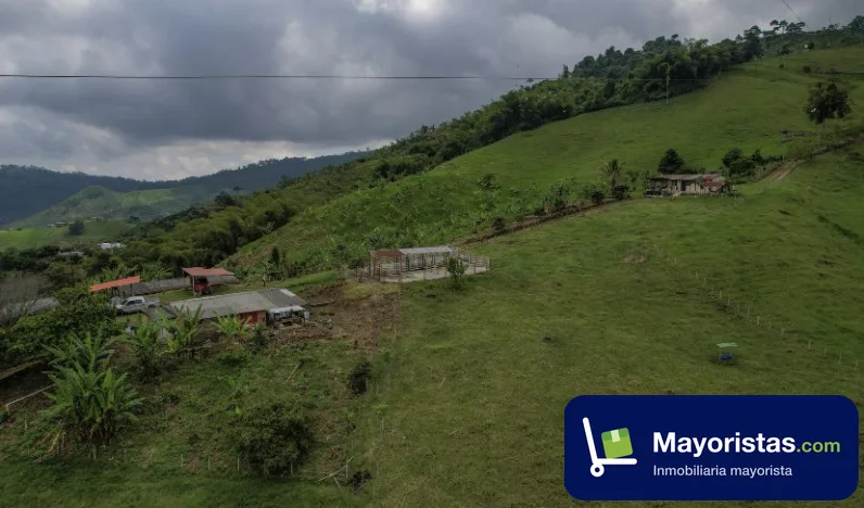 Finca ganadera de 33 ha en Marsella, Risaralda — foto 9 de 10