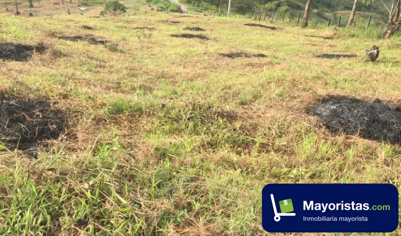 Finca ganadera de 12,8 ha en Venecia, Antioquia — foto 9 de 9