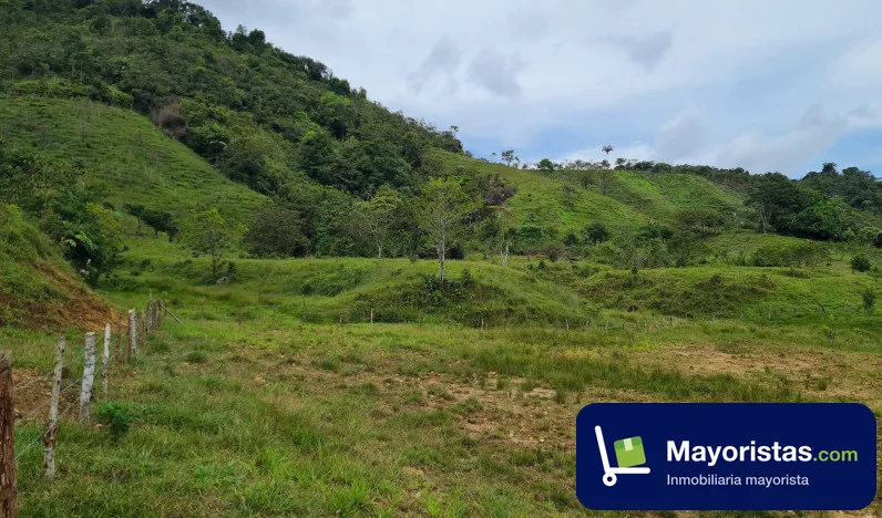 Finca agrícola de 598 ha en San Roque, Antioquia — foto 10 de 10