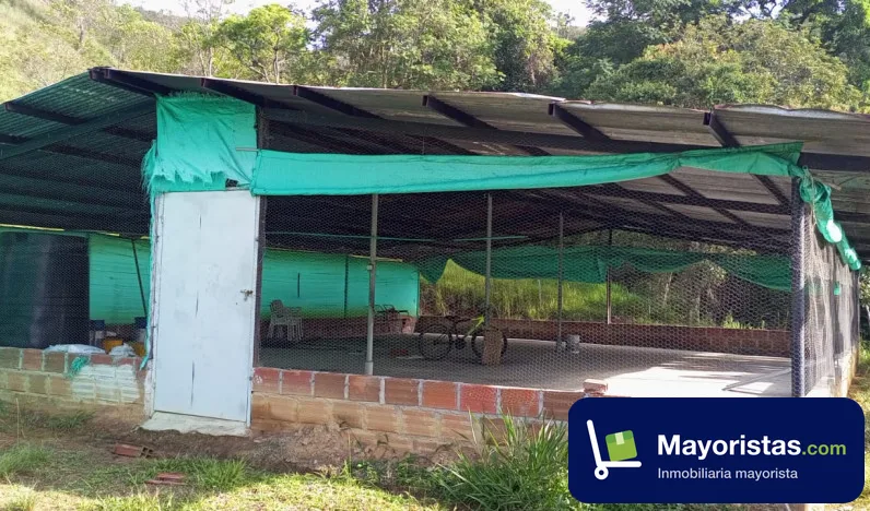 Finca ganadera de 12,5 ha en Íquira, Huila — foto 10 de 10