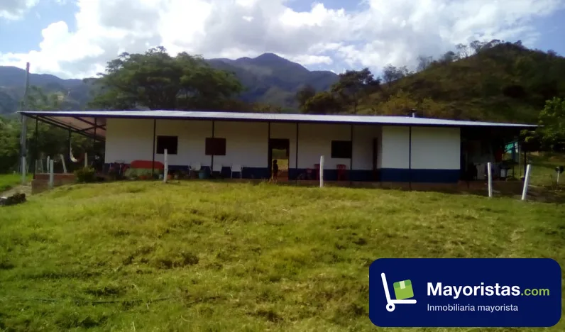 Finca ganadera de 12,5 ha en Íquira, Huila — foto 9 de 10