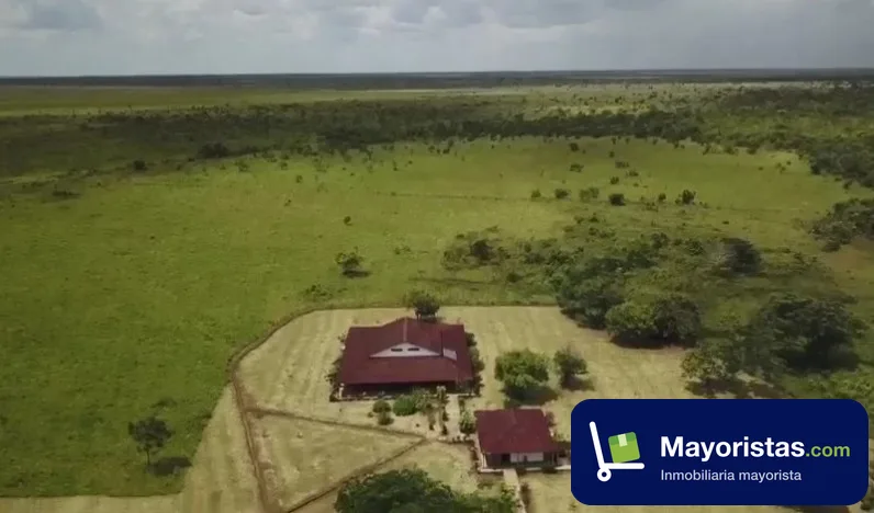 Finca ganadera de 2.582 ha en La Primavera, Vichada