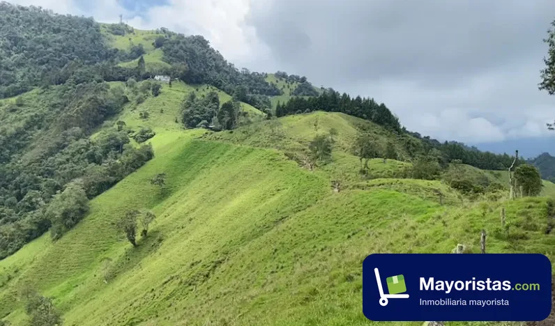 Finca ganadera de 832 ha en Herveo, Tolima