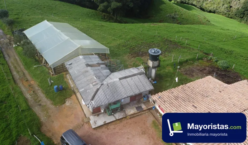 Finca ganadera de 54 ha en Santa Rosa de Osos, Antioquia — foto 10 de 10