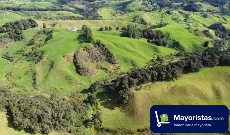 Finca ganadera de 54 ha en Santa Rosa de Osos, Antioquia — foto 9 de 10