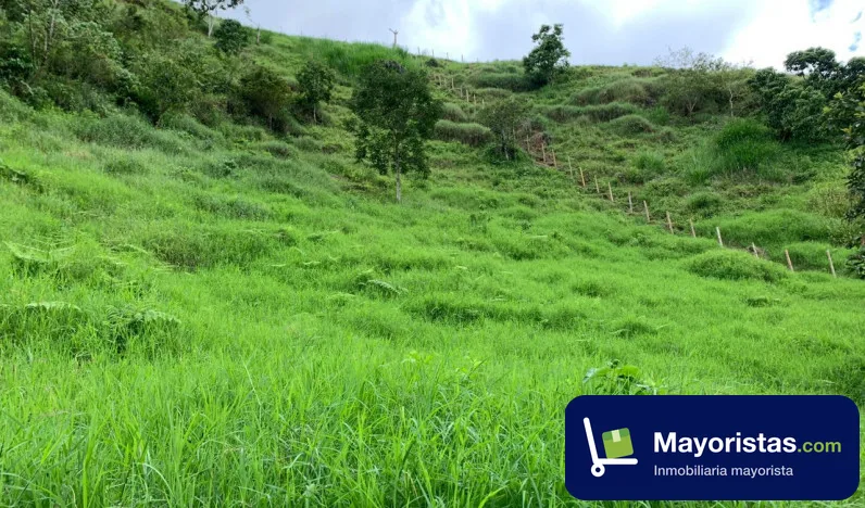 Finca ganadera de 22,4 ha en Filandia, Quindío