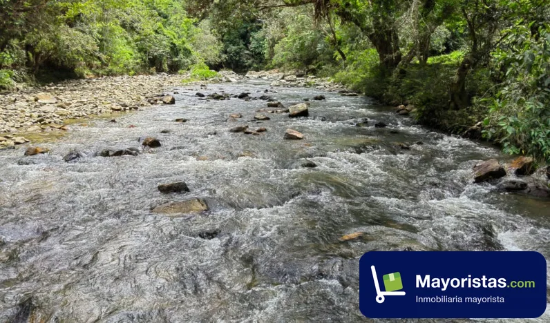 Finca ganadera de 253 ha en Puerto Berrío, Antioquia — foto 9 de 9