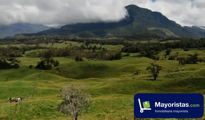 Finca ganadera de 50,2 ha en Garagoa, Boyacá