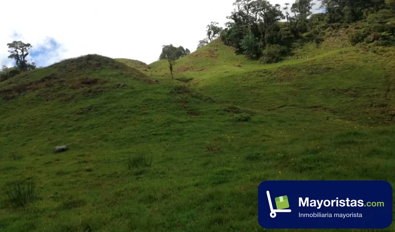 Finca ganadera de 50,2 ha en Garagoa, Boyacá — foto 10 de 10