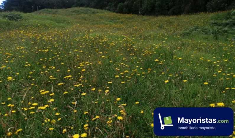 Finca ganadera de 50,2 ha en Garagoa, Boyacá — foto 9 de 10