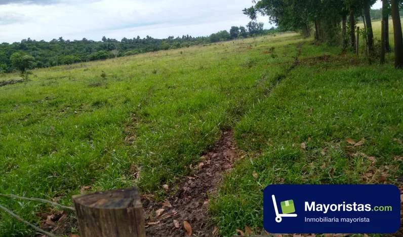 Finca ganadera de 25 ha en Puerto López, Meta