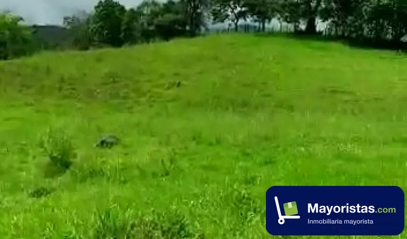 Finca ganadera de 78 ha en Victoria, Caldas — foto 9 de 9
