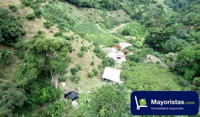 Finca agrícola de 10 ha en Charta, Santander