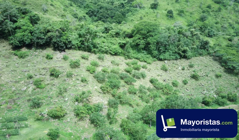 Finca agrícola de 10 ha en Charta, Santander — foto 9 de 10