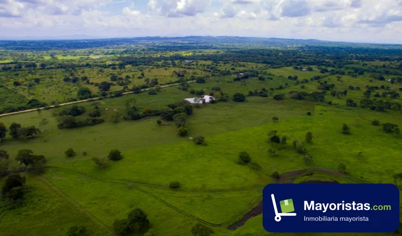 Finca ganadera de 63,3 ha en Arjona, Bolívar