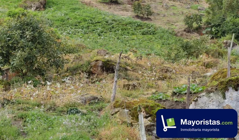 Finca agrícola de 7,7 ha en Fusagasugá, Cundinamarca — foto 10 de 10