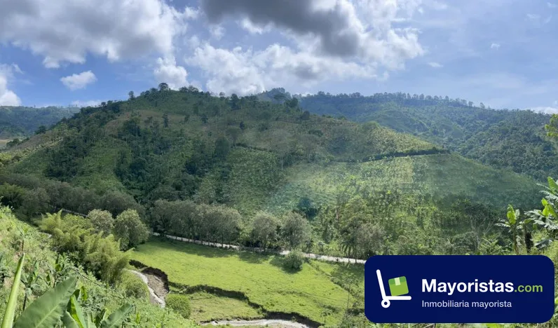 Finca agrícola de 32 ha en Betania, Antioquia