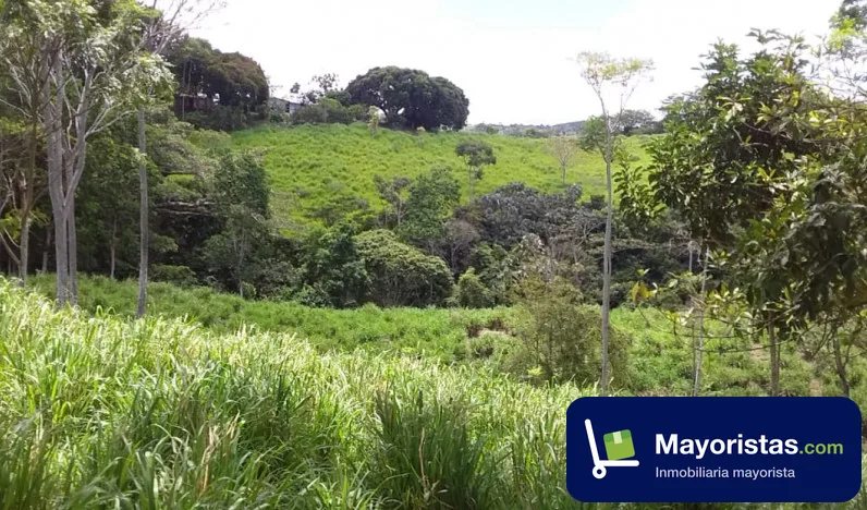 Finca ganadera de 34 ha en Falan, Tolima