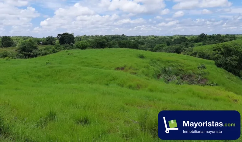 Finca ganadera de 248 ha en Caucasia, Antioquia