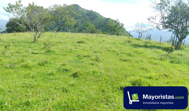 Finca ganadera de 22,8 ha en San Jerónimo, Antioquia