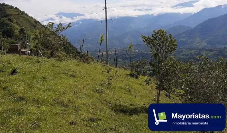 Finca ganadera de 22,8 ha en San Jerónimo, Antioquia — foto 9 de 10