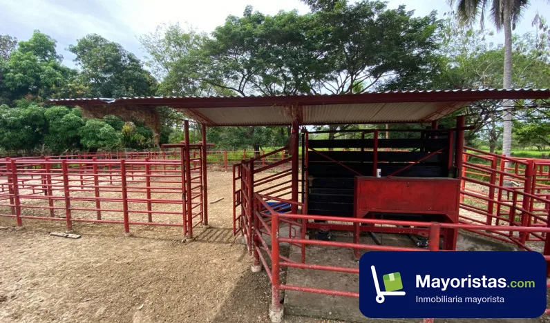Finca ganadera de 134 ha en La Gloria, Cesar — foto 10 de 10