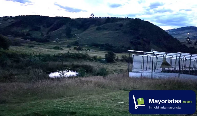 Finca agrícola de 4 ha en Villapinzón, Cundinamarca