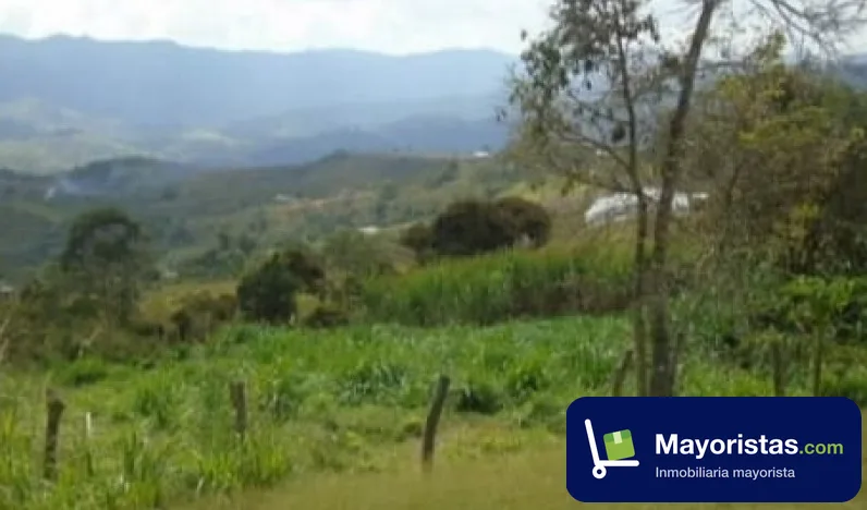 Finca cafetera de 189 ha en Amalfi, Antioquia