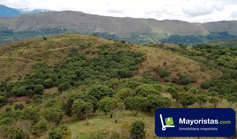 Finca ganadera de 200 ha en Melgar, Tolima