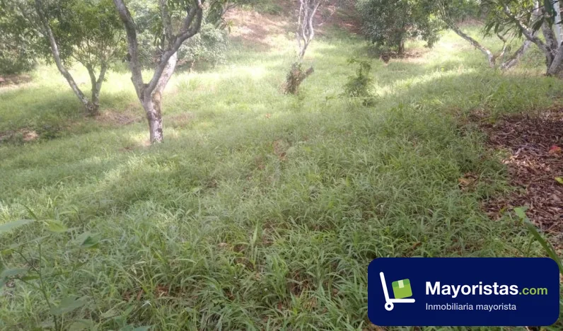Finca ganadera de 200 ha en Melgar, Tolima — foto 9 de 10